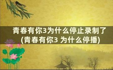 青春有你3为什么停止录制了(青春有你3 为什么停播)